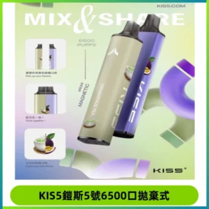 KIS5鎧斯5號一次性6500口磁吸式拋棄式電子煙#自由混搭#