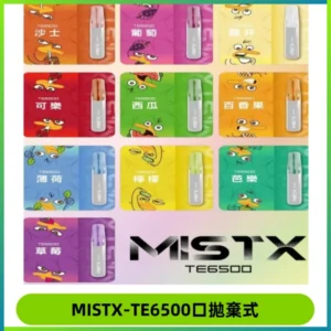 MISTX TE鴨嘴獸6500 Puffs抛棄式一次性抛棄式電子煙