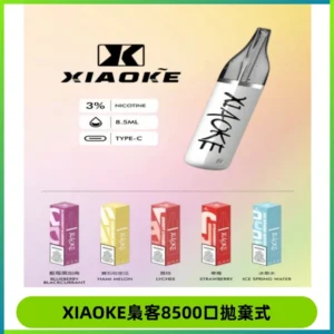 梟客XIAOKE8500口拋棄式一次性電子煙 口紅款高顏值設計